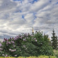 Городские зарисовки :: Irene Irene Городские зарисовки :: Irene Irene