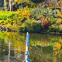 *** :: Witalij Löwin