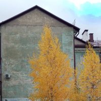 *** :: Валентина Береснева *** :: Валентина Береснева