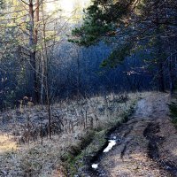 *** :: Александр 