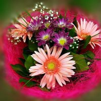 Просто букет...)) :: Игорь Тельцов