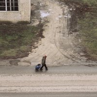 Утро туманное... :: Елена Минина