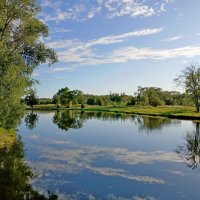 Летний вечер. :: Лия ☼