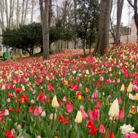 Гюльхане парк :: Максим 