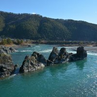 Зубы Дракона :: Валерий Медведев