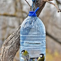 Ты скоро?! :: Валентина  Нефёдова 