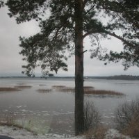 Одиночество в начале зимы... :: Наталья Лунева 