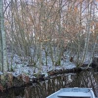 *** :: Ольга Попова (popova/j2011) *** :: Ольга Попова (popova/j2011)