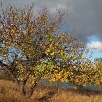 на берегу :: Всеволод 