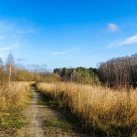 Осенний пейзаж. :: Милешкин Владимир Алексеевич 