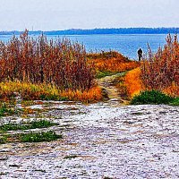 Октябрь...Пора предзимья на Юганской Оби. :: Владимир 