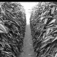 114 (158) :: CLOSE WAYS ALL