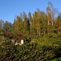 ПУШКИНСКИЕ ГОРЫ :: Виктор Осипчук