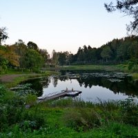 ПУШКИНСКИЕ ГОРЫ :: Виктор Осипчук