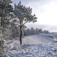 Торгашинский хребет :: Марина Фомина.