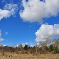 Небо. :: Михаил Колосов 