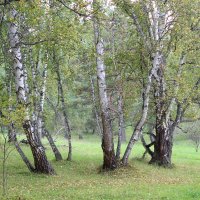 лето на исходе :: Ольга Гомзина