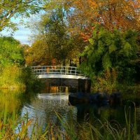 Белый мостик :: Юрий. Шмаков