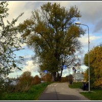 *** :: Aleksandr Gal