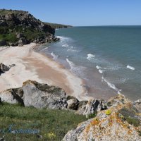 Природа Крыма :: Amazing Cosmea Природа Крыма :: Amazing Cosmea