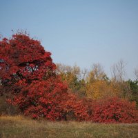 парад :: Всеволод 