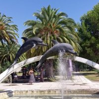 Дельфинчики :: Serega SchütZ