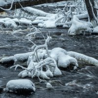 Межсезонье :: Владимир Колесников