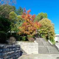 Адлер. Пансионат "Орбита" :: Нина Бутко Адлер. Пансионат "Орбита" :: Нина Бутко