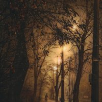 Ноябрь :: Александр Змеев