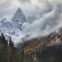 Домбайская осень. :: Юрий 