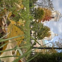 Мой город :: Марина Панькина