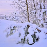 - :: Владимир Мигонькин