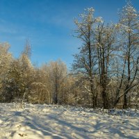 Ясный день. :: Николай 