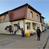 Утро в городе котов и кошек. :: Валерия Комова Утро в городе котов и кошек. :: Валерия Комова