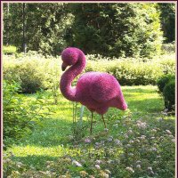 Розовый фламинго :: Alisia La DEMA