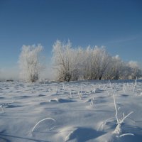 Хороший день :: Anna Ivanova