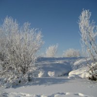 Зима :: Anna Ivanova