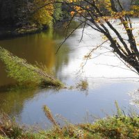 Осенние зарисовки :: Рита Симонова