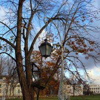 Осень на Елагином острове :: Ольга Осень на Елагином острове :: Ольга