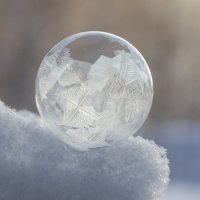 Пузырь :: Андрей Пристяжнюк