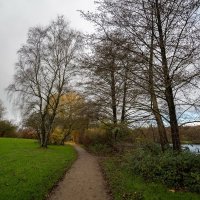 Вдоль берега... :: Николай Гирш