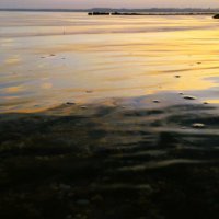 Последние лучи заката, навстречу ночи и луне :: Hope 