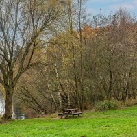 Последние осенние краски. :: Lucy Schneider 