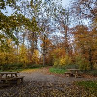 В осеннем лесопарке... :: Николай Гирш