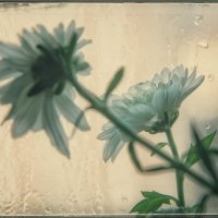 * * * :: Руслан 