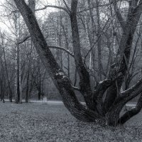 ***** :: юрий поляков ***** :: юрий поляков