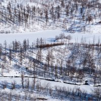 Камчатка. :: Aleks Lebedev