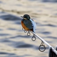 Рыбачок :: Андроник Александр