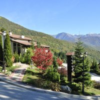 В Красной Поляне :: Марина Виноградова