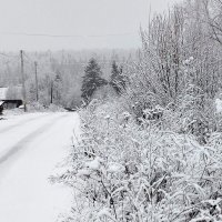 Предзимник :: Ольга Конькова